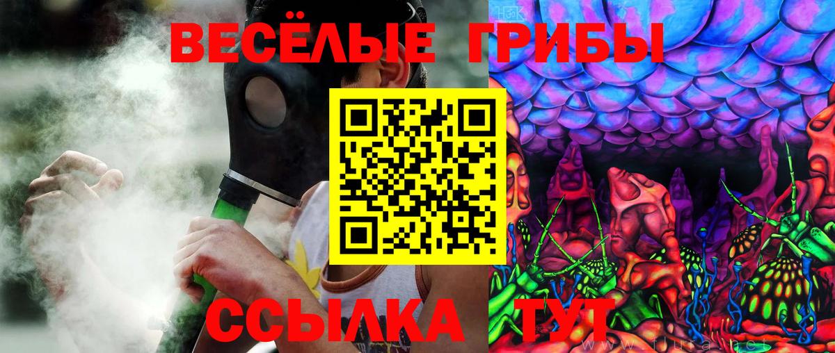 Великий Новгород  Псилоцибиновые грибы MAGIC MUSHROOMS  Вход с VPN 